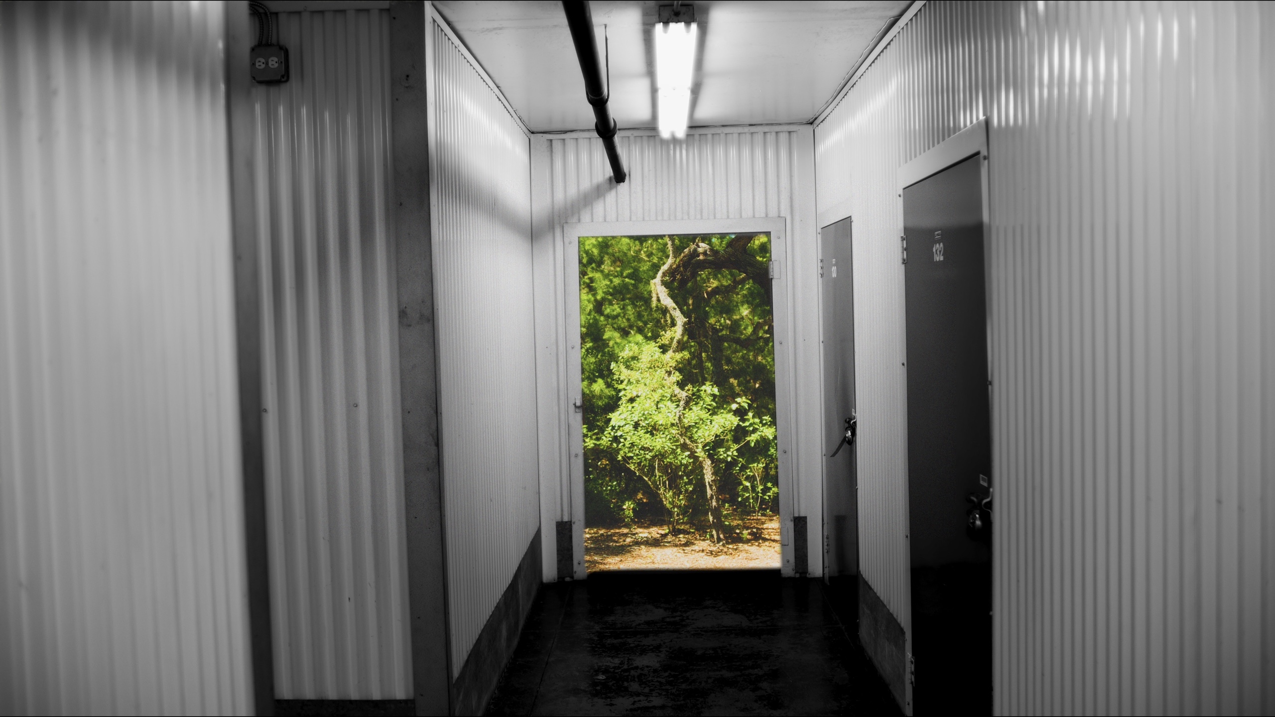 A monochrome storage corridor opens into saturated forest in THOTH.