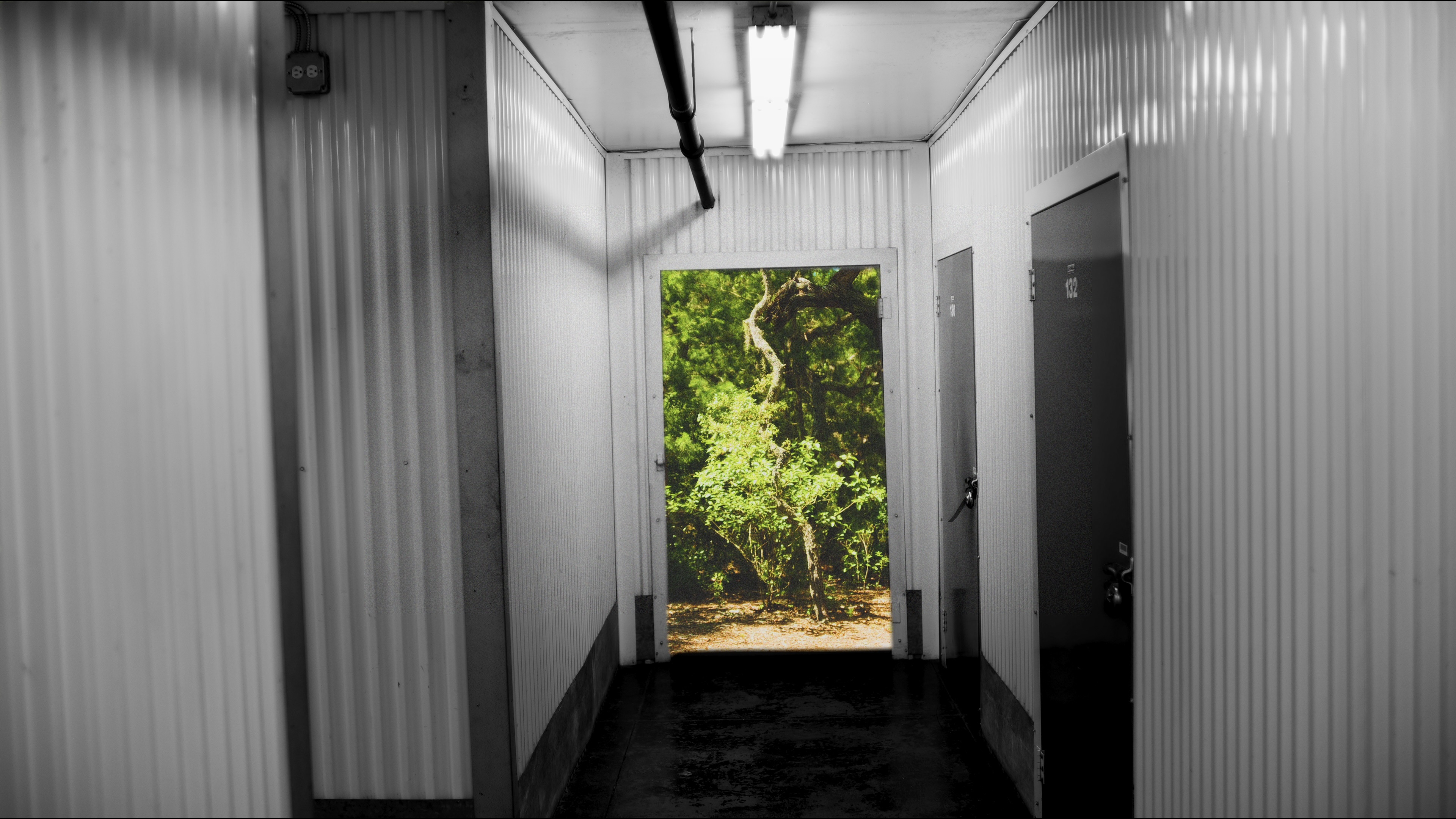 The corridor opening onto a forest in THOTH.